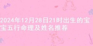 2024年12月28日21时出生的宝宝五行命理及姓名推荐