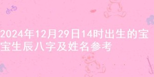 2024年12月29日14时出生的宝宝生辰八字及姓名参考