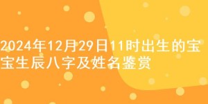 2024年12月29日11时出生的宝宝生辰八字及姓名鉴赏