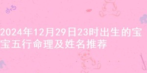 2024年12月29日23时出生的宝宝五行命理及姓名推荐