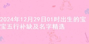 2024年12月29日01时出生的宝宝五行补缺及名字精选