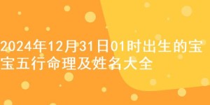 2024年12月31日01时出生的宝宝五行命理及姓名大全