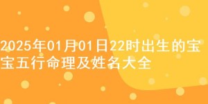 2025年01月01日22时出生的宝宝五行命理及姓名大全