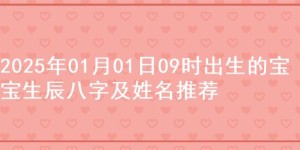 2025年01月01日09时出生的宝宝生辰八字及姓名推荐