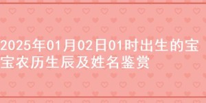 2025年01月02日01时出生的宝宝农历生辰及姓名鉴赏