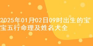 2025年01月02日09时出生的宝宝五行命理及姓名大全