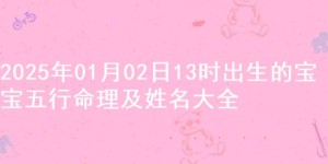 2025年01月02日13时出生的宝宝五行命理及姓名大全