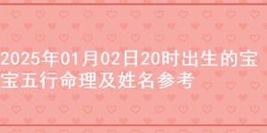 2025年01月02日20时出生的宝宝五行命理及姓名参考