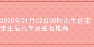 2025年01月02日00时出生的宝宝生辰八字及姓名推荐