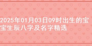 2025年01月03日09时出生的宝宝生辰八字及名字精选