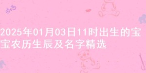 2025年01月03日11时出生的宝宝农历生辰及名字精选