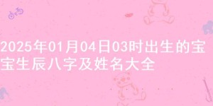 2025年01月04日03时出生的宝宝生辰八字及姓名大全