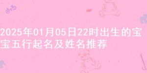 2025年01月05日22时出生的宝宝五行起名及姓名推荐