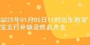 2025年01月05日11时出生的宝宝五行补缺及姓名大全