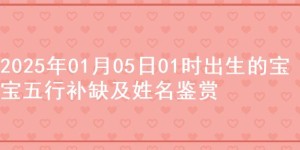 2025年01月05日01时出生的宝宝五行补缺及姓名鉴赏