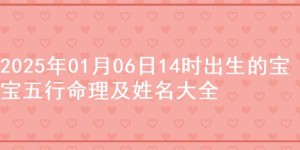 2025年01月06日14时出生的宝宝五行命理及姓名大全