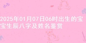 2025年01月07日06时出生的宝宝生辰八字及姓名鉴赏