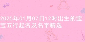 2025年01月07日12时出生的宝宝五行起名及名字精选