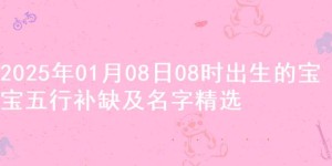 2025年01月08日08时出生的宝宝五行补缺及名字精选