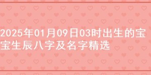 2025年01月09日03时出生的宝宝生辰八字及名字精选