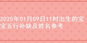 2025年01月09日11时出生的宝宝五行补缺及姓名参考