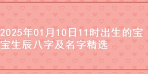 2025年01月10日11时出生的宝宝生辰八字及名字精选