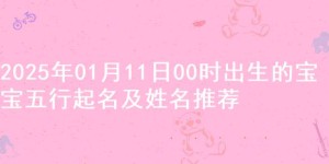 2025年01月11日00时出生的宝宝五行起名及姓名推荐