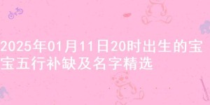 2025年01月11日20时出生的宝宝五行补缺及名字精选