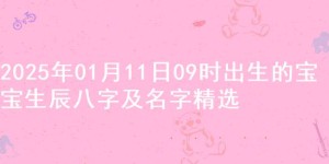 2025年01月11日09时出生的宝宝生辰八字及名字精选