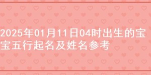 2025年01月11日04时出生的宝宝五行起名及姓名参考