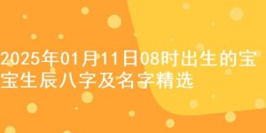 2025年01月11日08时出生的宝宝生辰八字及名字精选