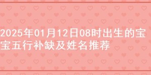 2025年01月12日08时出生的宝宝五行补缺及姓名推荐