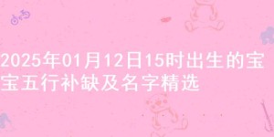 2025年01月12日15时出生的宝宝五行补缺及名字精选