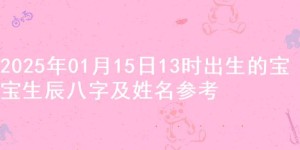 2025年01月15日13时出生的宝宝生辰八字及姓名参考