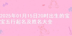 2025年01月15日20时出生的宝宝五行起名及姓名大全