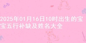 2025年01月16日10时出生的宝宝五行补缺及姓名大全