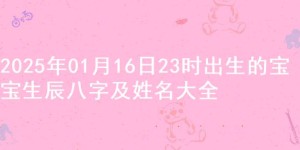 2025年01月16日23时出生的宝宝生辰八字及姓名大全