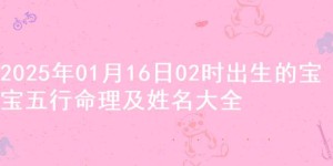 2025年01月16日02时出生的宝宝五行命理及姓名大全