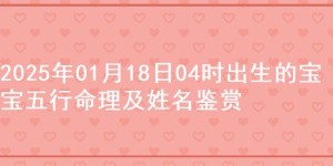 2025年01月18日04时出生的宝宝五行命理及姓名鉴赏