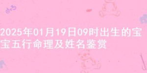 2025年01月19日09时出生的宝宝五行命理及姓名鉴赏