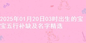 2025年01月20日03时出生的宝宝五行补缺及名字精选