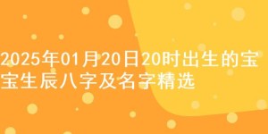 2025年01月20日20时出生的宝宝生辰八字及名字精选