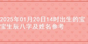 2025年01月20日14时出生的宝宝生辰八字及姓名参考