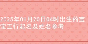 2025年01月20日04时出生的宝宝五行起名及姓名参考