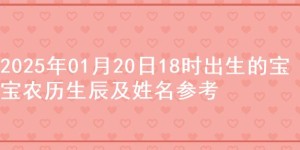 2025年01月20日18时出生的宝宝农历生辰及姓名参考