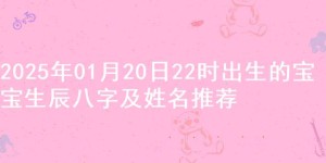 2025年01月20日22时出生的宝宝生辰八字及姓名推荐