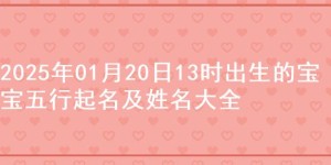 2025年01月20日13时出生的宝宝五行起名及姓名大全