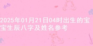 2025年01月21日04时出生的宝宝生辰八字及姓名参考