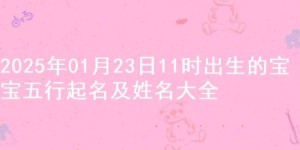 2025年01月23日11时出生的宝宝五行起名及姓名大全