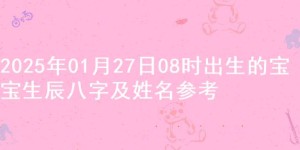 2025年01月27日08时出生的宝宝生辰八字及姓名参考